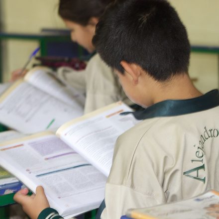 Educación  Básica 1