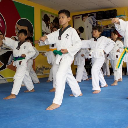 Básica en Tae-Kwon-Do